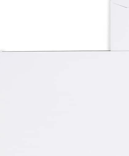 Staples 10x13 Gummed Catalog Envelopes, White Wove, 100/Box