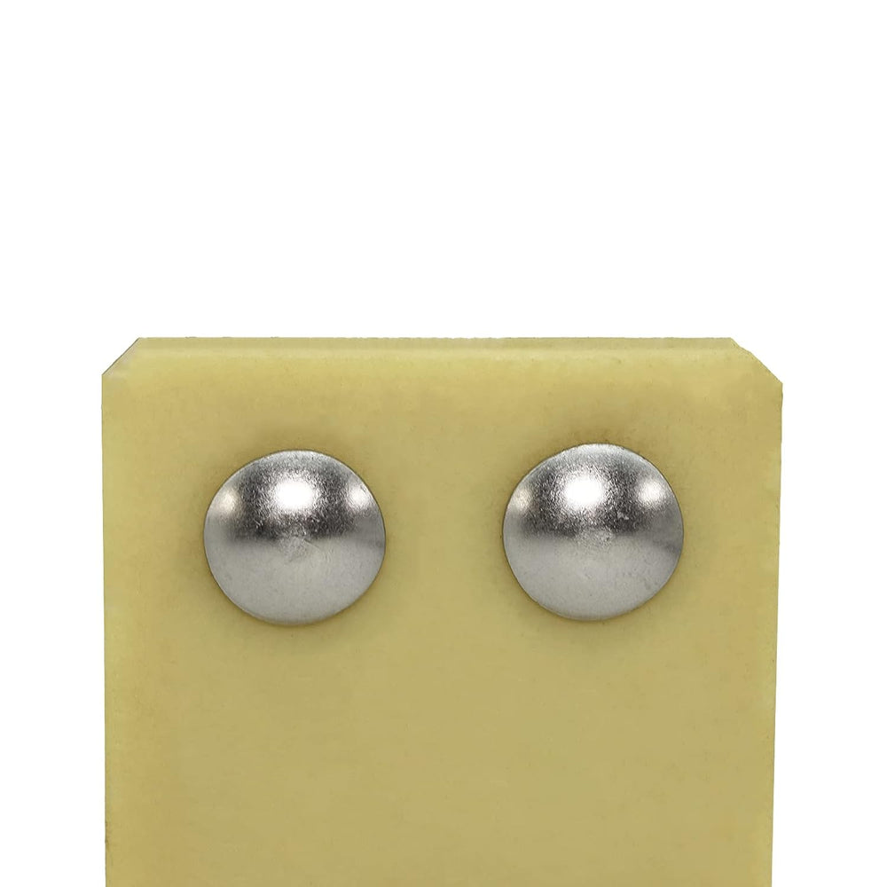SANTIE 1/2-in x 3-in Stainless Carriage Bolt