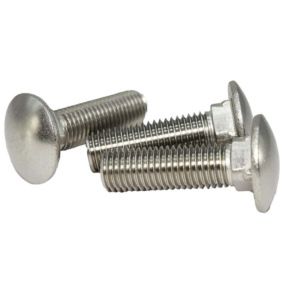 SANTIE 18-8 Stainless Steel Carriage Bolt, 3/8-16 X 2 in.25pc