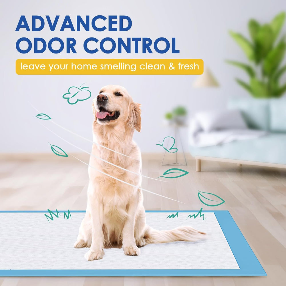 36"x36" Pee Pads for Dogs-100 Pack Super Absorbent XXXL Potty Pads ...
