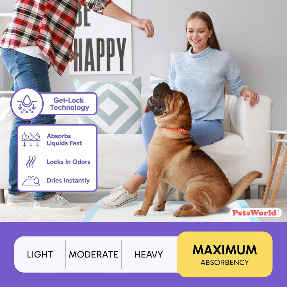 Pee Pads for Dogs 30x36 Fresh Scented | Dog Training Pads 50 Count