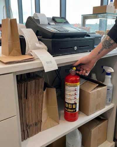 Ougist Home Fire Extinguisher, 2.5 lb ABC Dry Chemical 1-A:10-B:C, 1 Pack