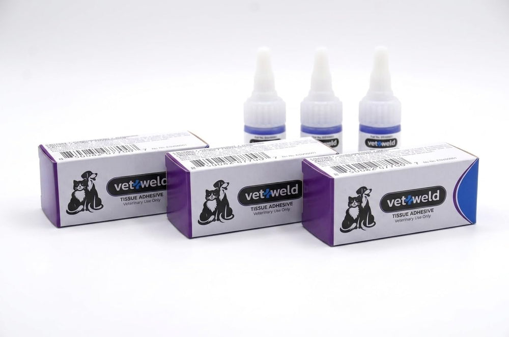 Tissue Adhesive Surgical Glue, 3 mL 3 Pack Vet Glue