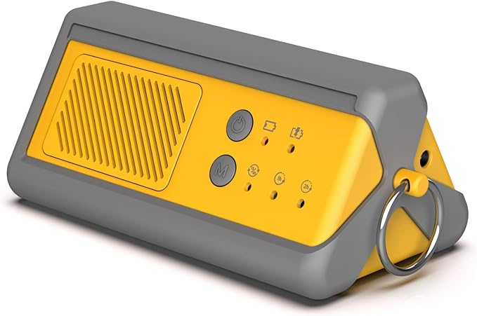 Airthereal PA1K-GO 1, 000mg/h Portable Ozone Generator