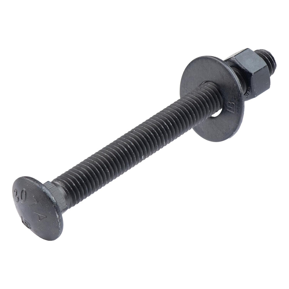 1/2 in. x 5 in. Black Carriage Bolt Kit Includes 12 Bolts, 12 Washers, and 12...