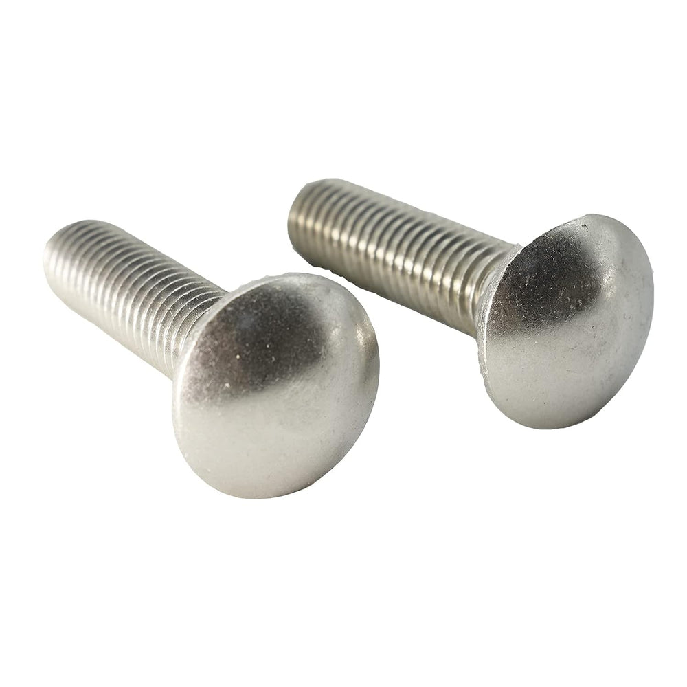 SANTIE 1/2-in x 3-in Stainless Carriage Bolt