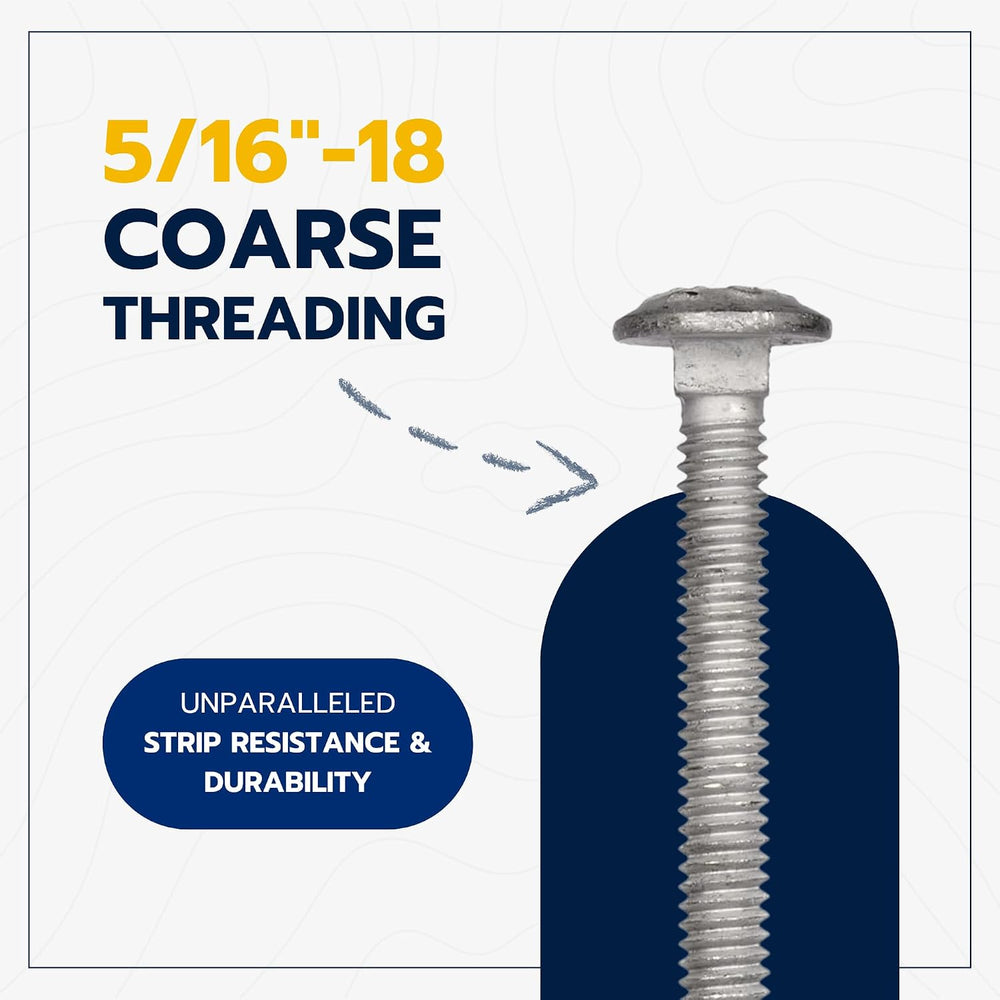 5/16" x 4" (50 Pack) Galvanized Carriage Bolt Kit Grade 307A Includ...