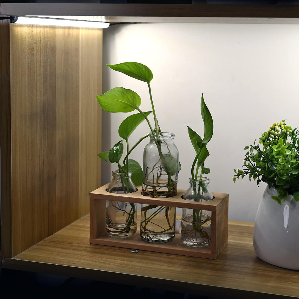 Litever LED Safe Lighting Kit Plug in. Door Control Activated. 5000K