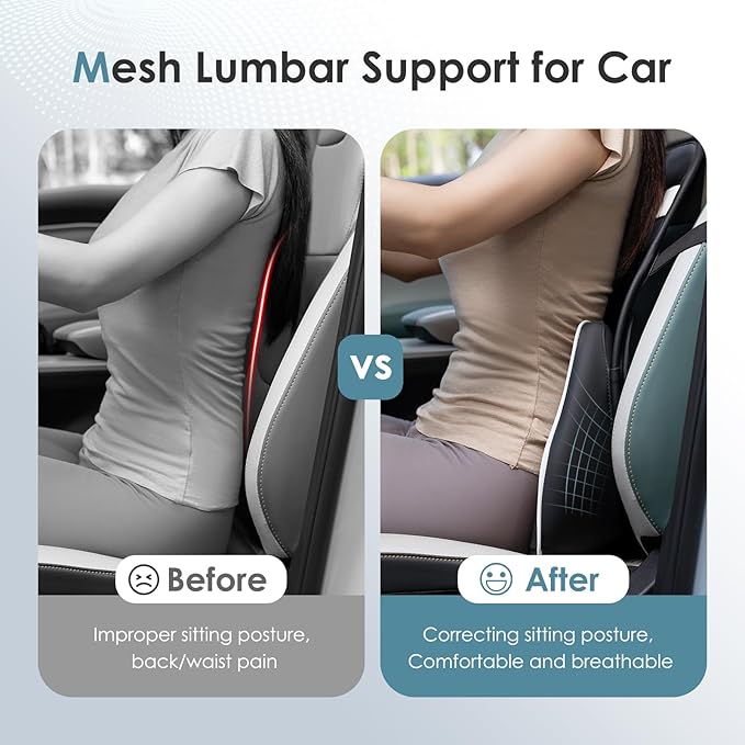 FLORICH Double Layer Breathable Mesh Lumbar Support Ergonomic Leather Lumbar