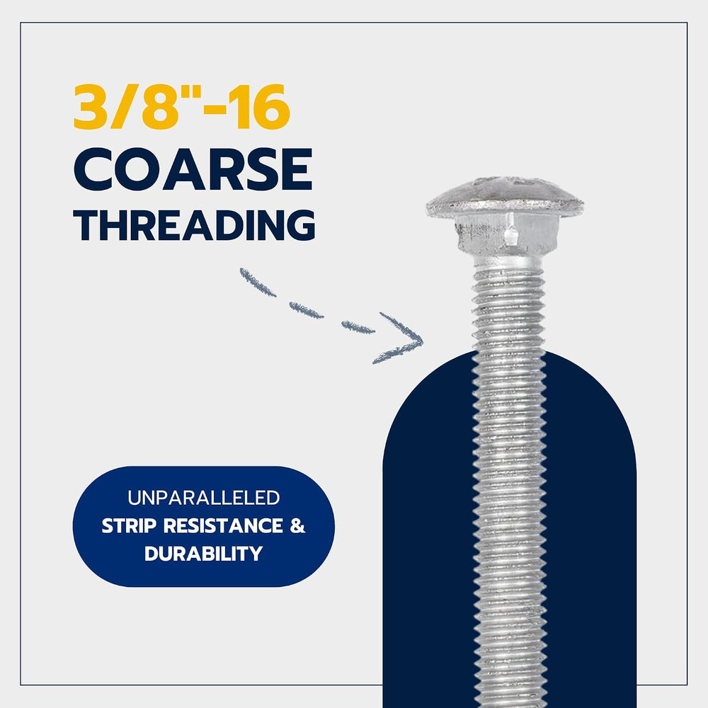 3/8" x 5" (50 Pack) Galvanized Carriage Bolt Kit, Grade 307A, Hot D...