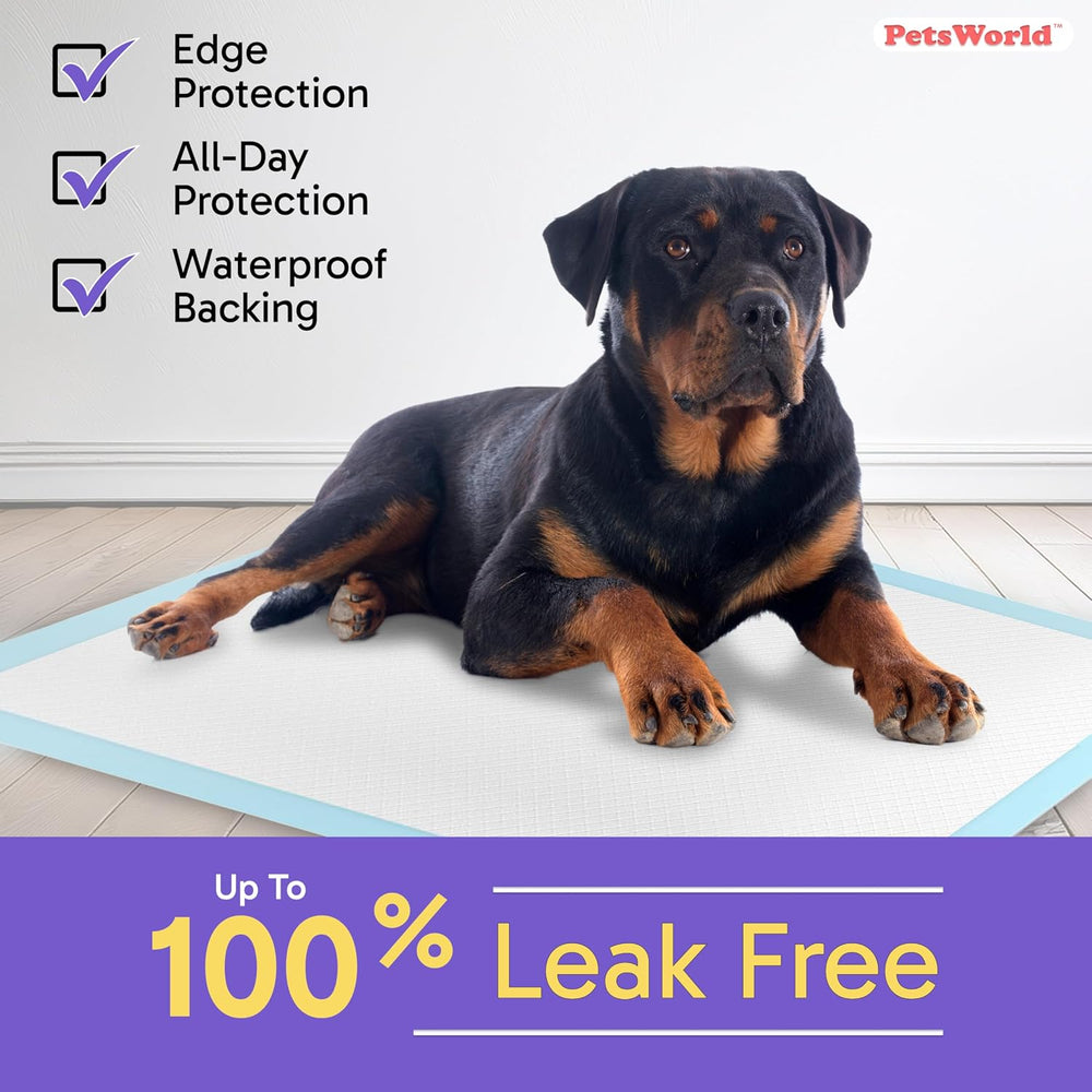 Pee Pads for Dogs 30x36 Fresh Scented | Dog Training Pads 50 Count