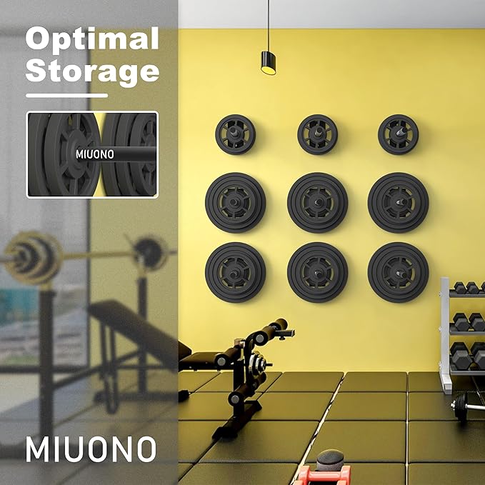 Weight Plate Holder, Wall Mounted Weight Rack Storage