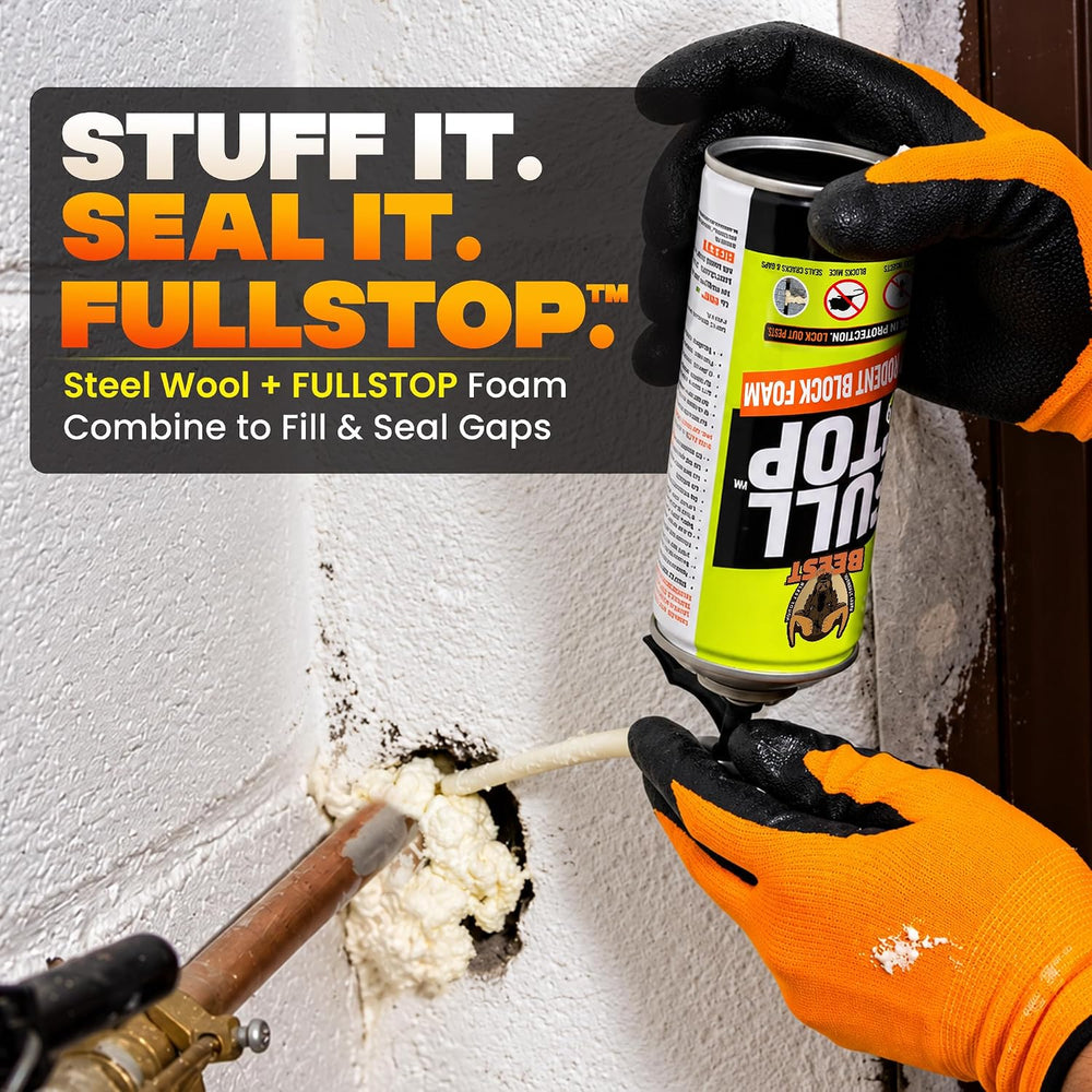 BEEST FullStop Spray Foam Sealant for Rodent Entry Gaps, 12 oz - 2 Pack
